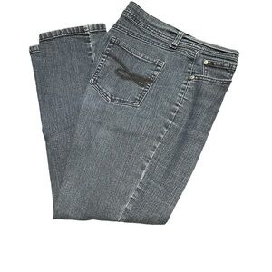 Style & Co Petite Tummy Control Jeans 10P